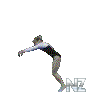 23.gif