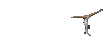 24.gif