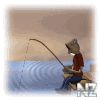 29.gif