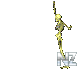 32.gif