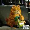 63.gif
