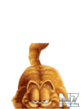 64.gif