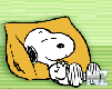 65.gif