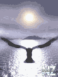 aigle1_gif.gif