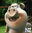 pig2.gif