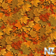 autumn.jpg