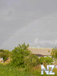rainbov.jpg