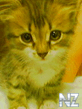 050617_195524.jpg