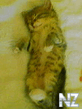 050619_185218.jpg