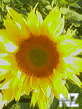 050710_064341.jpg