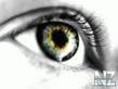image_4.gif