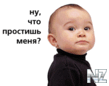 image_5.gif