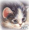 animals102.jpg