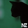 animals197.jpg