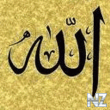 image_10.gif