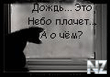 2194256.jpg