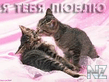photo_1.jpg