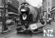 baboon_big.jpg