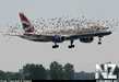 airplane.jpg