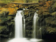 waterfall_f027t_1_.jpg