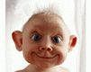 5.gif