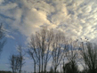 Image_090__fix.jpg