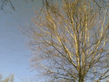 Image_101__fix.jpg