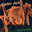 Guano apes