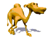 CAMEL000.gif