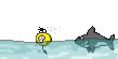 Kol