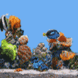 miniaquarium.gif