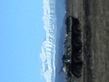 DSC00019.jpg