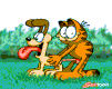 garfield9.gif