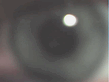 Viewer.jpg