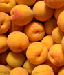 peaches.jpg