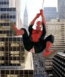 spiderman.jpg