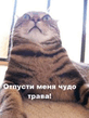 demon_1127666835_i_5507_med.jpg