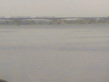 Image_009_.jpg