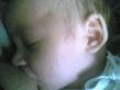 02052006_001_.jpg