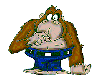 15_.gif