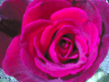 18062006.jpg