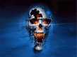 Skull.jpg