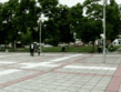 13.gif