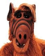 Dr.Alf