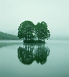 Solitude.jpg