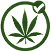 ava37.gif