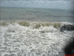 DSC00013.jpg