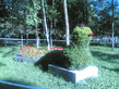 04082006_004_.jpg