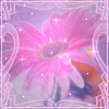 87b7687fc7ceae810498dffd11272.gif