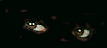 0293.gif